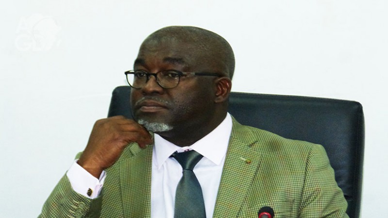 Ministre de l’agriculture, de l’élevage et du développement rural: Antoine Lékpa Gbégbéni
